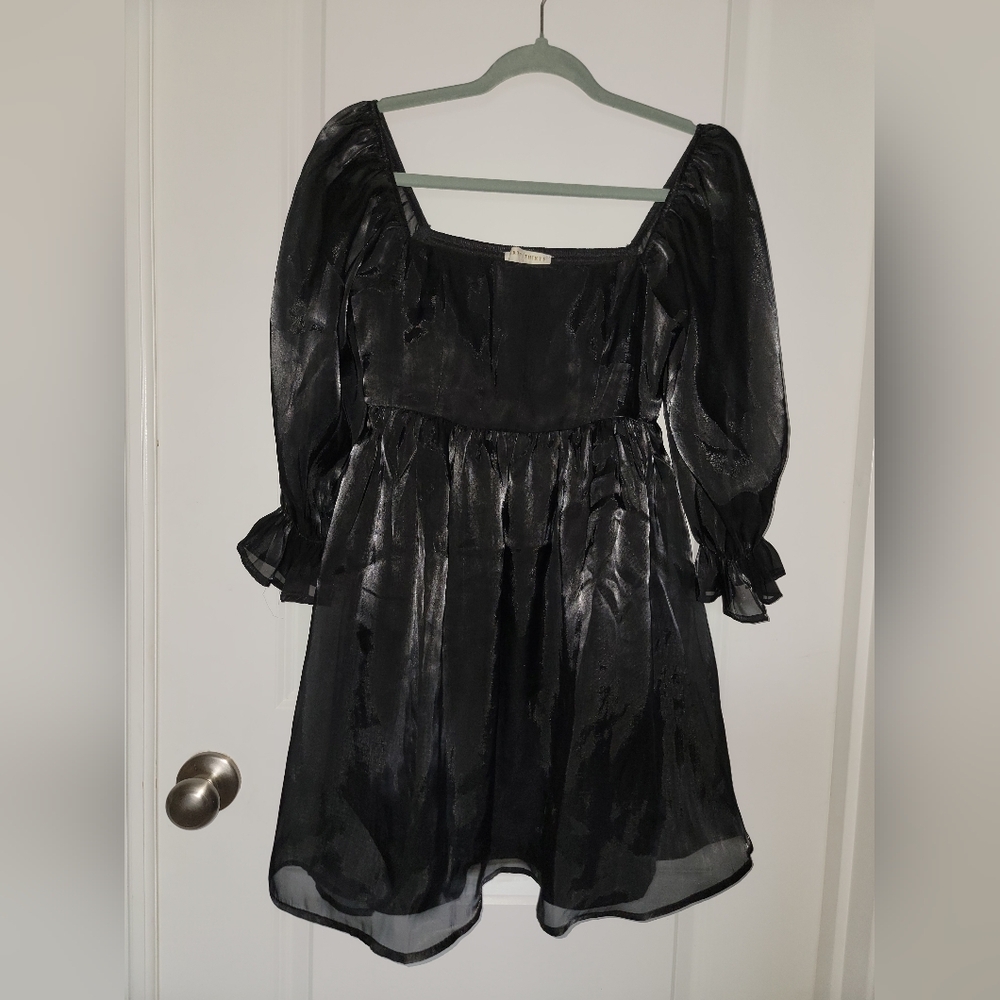 Thirty Thirty LA Elegant Babydoll Black Sheer Dress